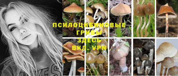 ALPHA-PVP Абдулино