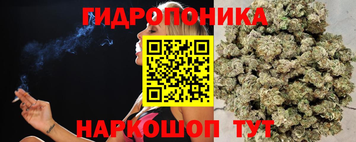 Бошки Шишки MAZAR Азнакаево